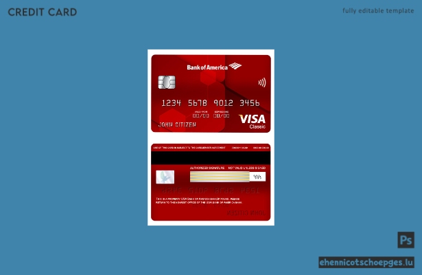 USA Bank of America Visa Classic Karte – Beispielvorschau